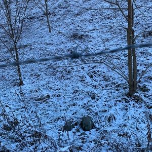 Meet your Posher, Seth